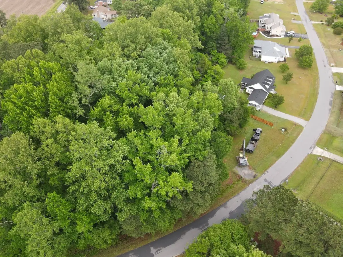 Aerial view of properties served by Carolina Turf & Lawn in Eastern North Carolina